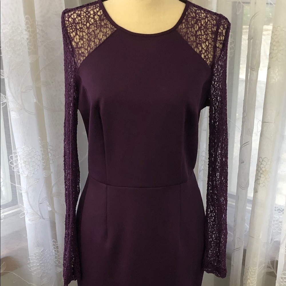 Dorothy Perkins purple  floral lace dress SZ 8